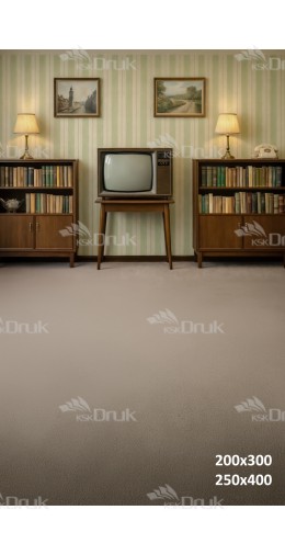 Tło fotograficzne „Retro salon z telewizorem i biblioteczkami” | 3825